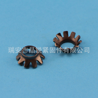 晶锐不锈钢锥形弹簧垫圈 【瑞安晶锐】